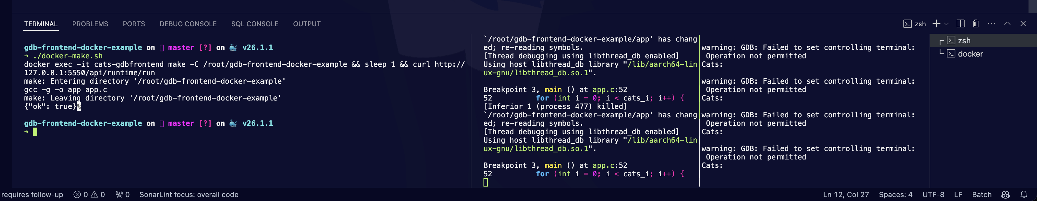 GDBFrontend shell on Docker from host